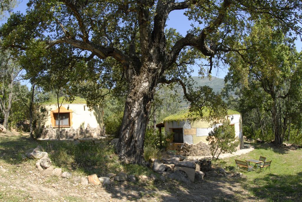 Apartamentos Rurales Ecopangea Valverde de la Vera Exteriör bild