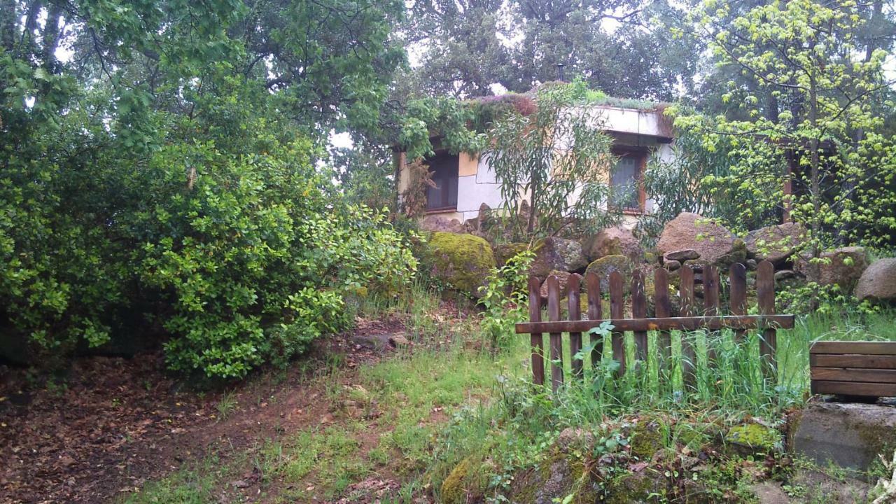Apartamentos Rurales Ecopangea Valverde de la Vera Exteriör bild