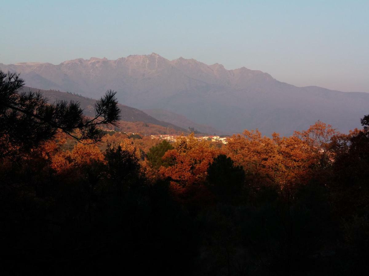 Apartamentos Rurales Ecopangea Valverde de la Vera Exteriör bild