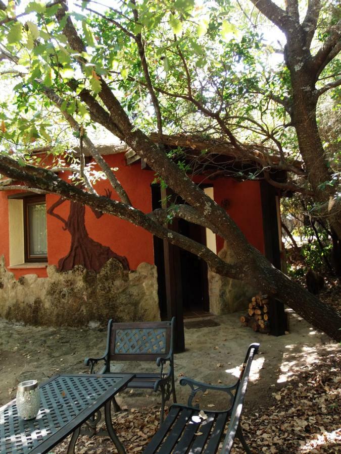 Apartamentos Rurales Ecopangea Valverde de la Vera Exteriör bild